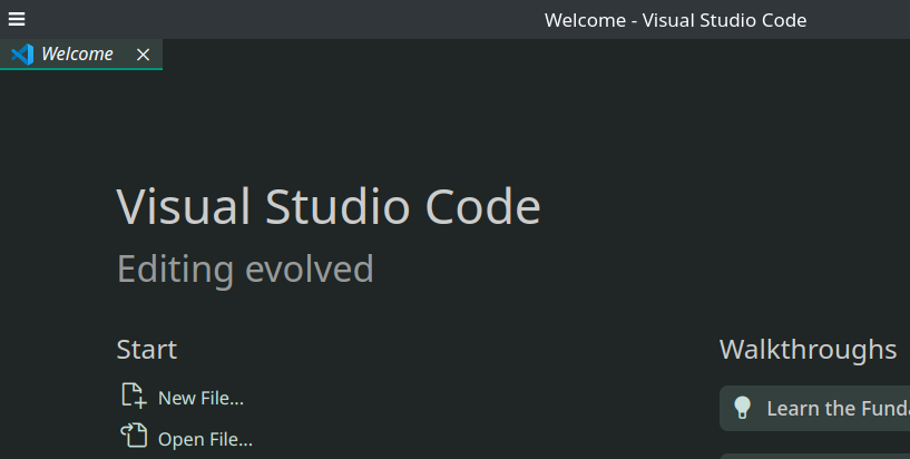 Screenshot 3: VsCode Menus Missing