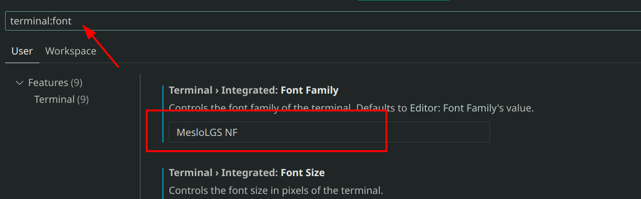 Screenshot: Configuring Vscode Terminal Font Family